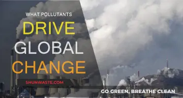 Air and Water Pollutants: Driving Global Change