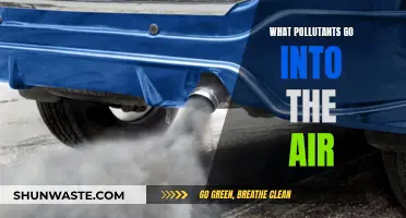 Air Pollutants: What's Harming Our Air?