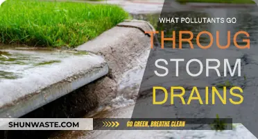 Storm Drains: Pollutants' Highway to Waterways
