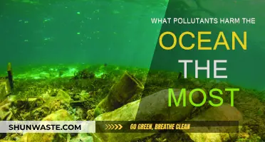 Ocean's Worst Pollutants: Understanding the Top Harmful Contaminants