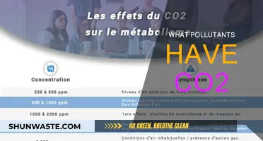 CO2 and Its Pollutant Partners: Understanding the Impact