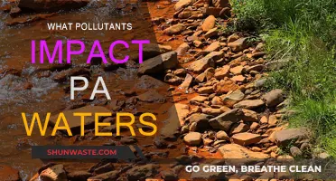Protecting PA Waters: Understanding Pollutants and Their Impact