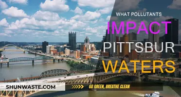 Pittsburgh's Water Pollution: Understanding the Contaminants