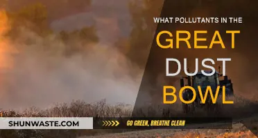 Dust Bowl: A Tale of Pollutants and Misery