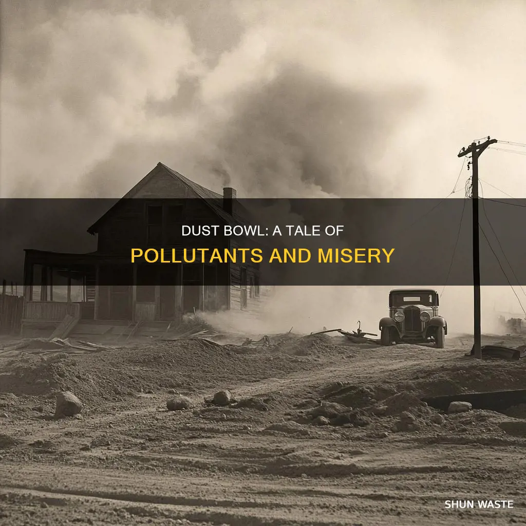 what pollutants in the great dust bowl