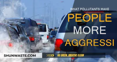 Air Pollution: The Silent Aggression Trigger