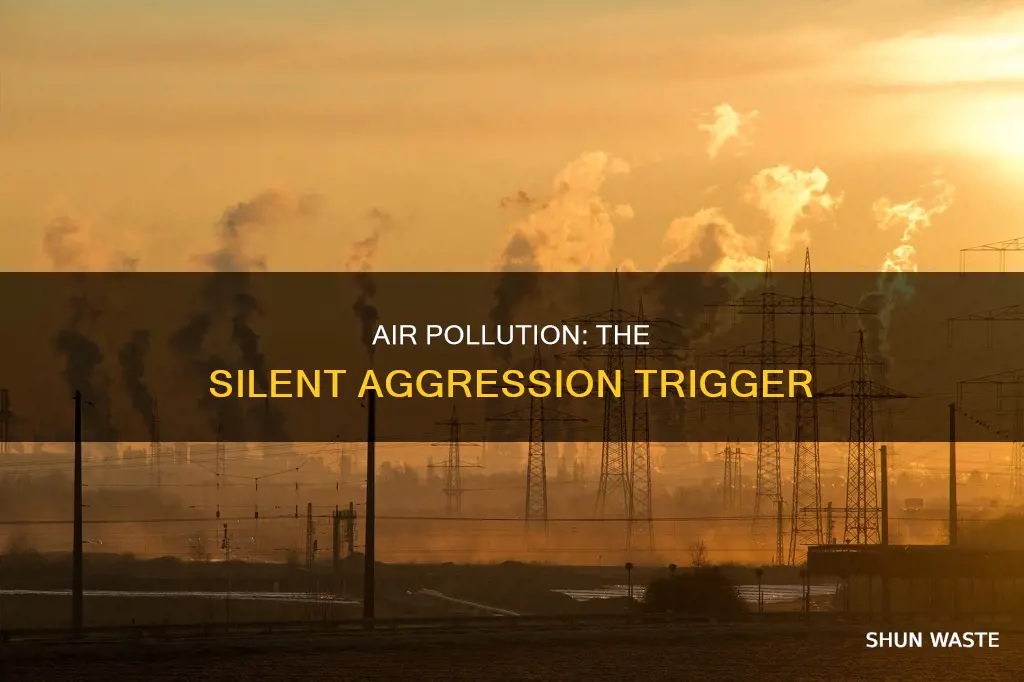 what pollutants make people more aggressive