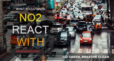 How NO2 Pollutants React with Other Contaminants