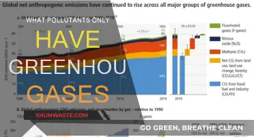 Greenhouse Gases: The Pollutants Behind Climate Change