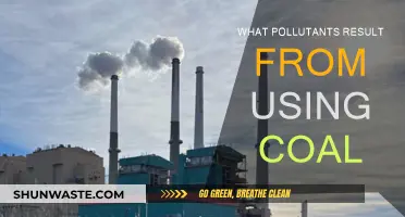 Coal's Dark Legacy: Pollutants and Their Impact