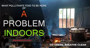 Common Indoor Pollutants: What's Harming Your Home's Air?