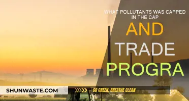 Curbing Pollutants: Cap and Trade Program's Impact