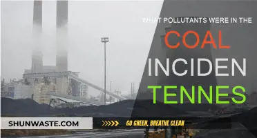 Tennessee Coal Spill: Toxic Pollutants Revealed