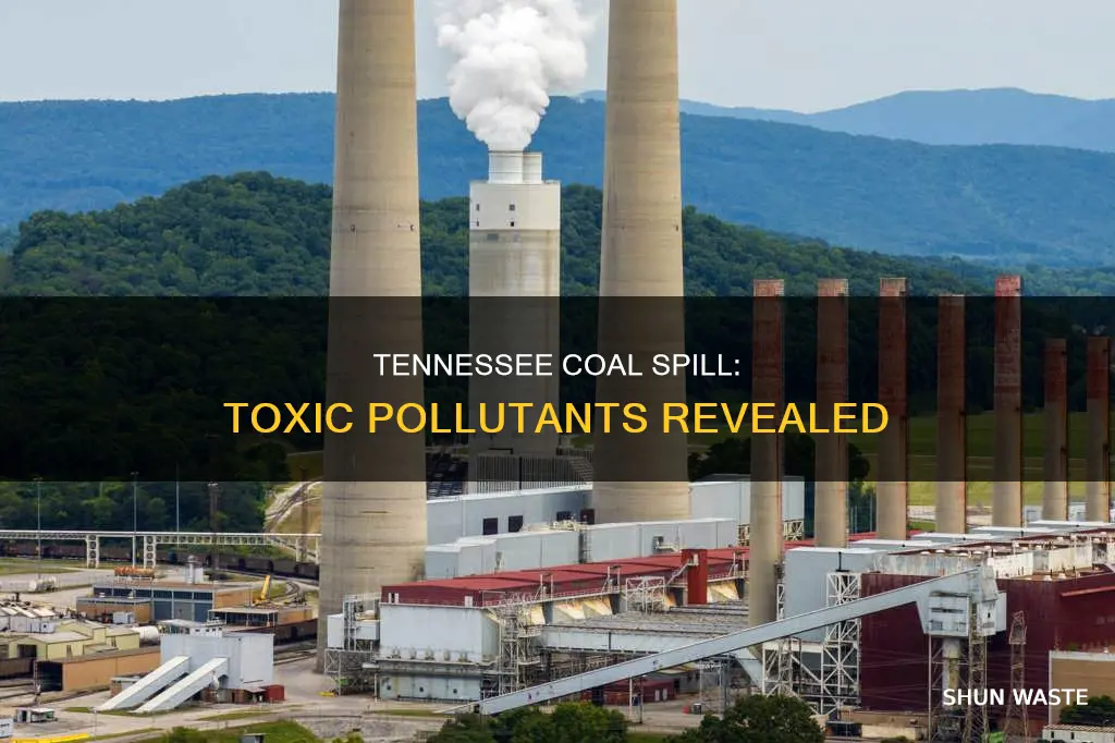 what pollutants were in the coal incident tennessee
