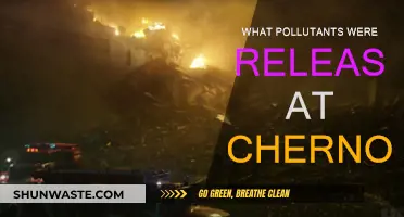 Chernobyl's Toxic Legacy: Pollutants Released