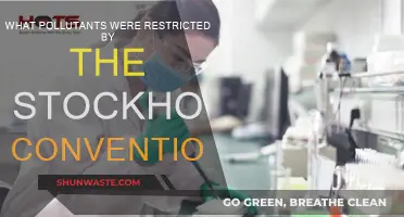 Stockholm Convention: Restricted Pollutants and Their Impact