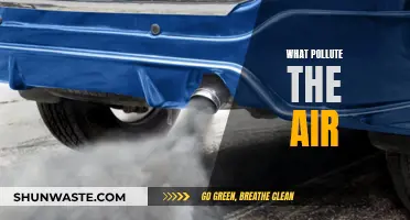 Air Pollutants: Sources and Impacts