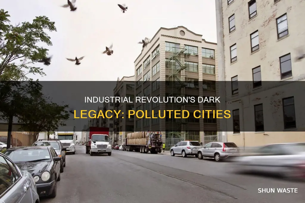 what polluted cities during the late 1800s