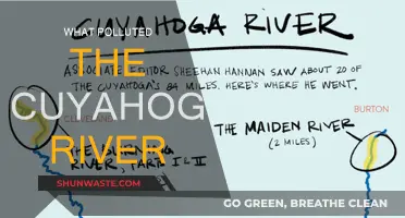 Industrial Legacy: Cuyahoga River Pollution