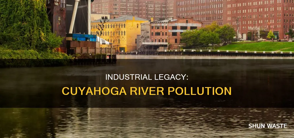 what polluted the cuyahoga river