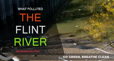 Flint River Pollution: The Toxic Legacy