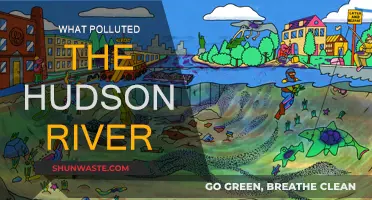 Industrial Pollution: Hudson River's Dark History