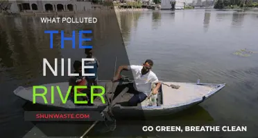 The Nile River Pollution: Causes and Effects