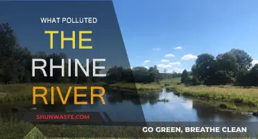 The Rhine River's Pollution: A Troubling Legacy