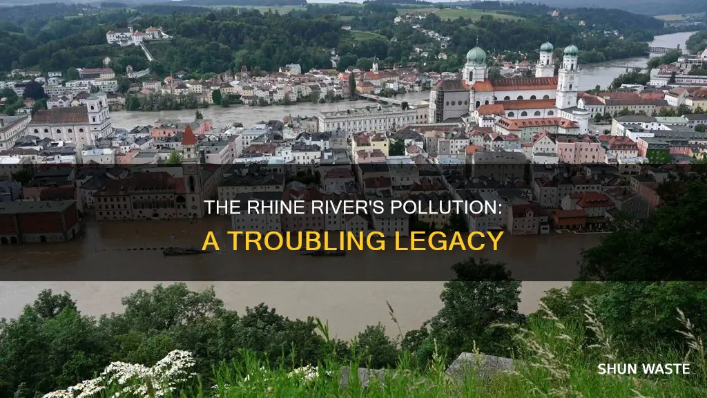 what polluted the rhine river