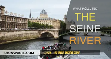 The Seine's Pollution: A Troubling Mystery