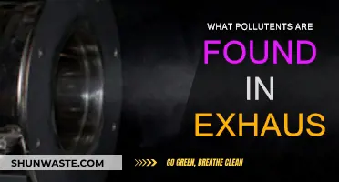 Exhaust Pollutants: What's Lurking in Car Emissions?