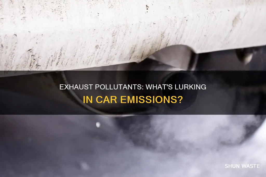 what pollutents are found in exhausts