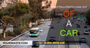 Car Emissions: Understanding the Pollutants We Breathe