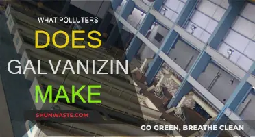 Galvanizing's Impact: Reducing Polluters and Their Harmful Effects