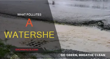 Watershed Pollution: Understanding the Sources and Their Impact