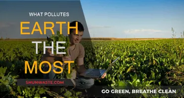 Human Activities: Earth's Worst Polluters