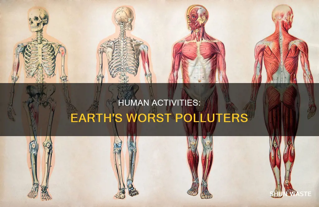 what pollutes earth the most