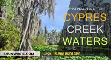 Little Cypress Creek: A Polluted Watershed?