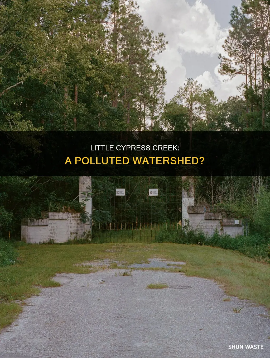 what pollutes little cypress creek watershed