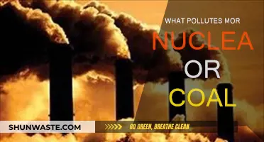 Nuclear vs Coal: Which Energy Source Pollutes More?