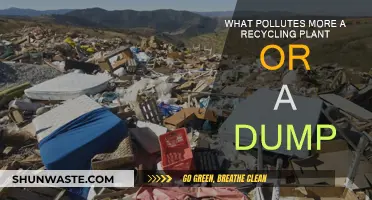 Recycling Plants vs Dumps: Which Pollutes More?