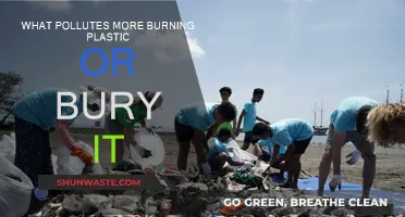 Plastic Pollution: Burn or Bury?