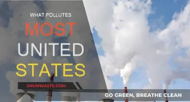 US Pollution: The Main Culprits and Their Impact