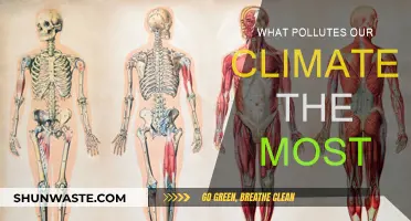 Climate Killers: What Pollutes Our Planet the Most?