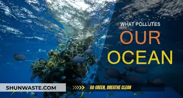 The Ocean's Plight: Pollution's Impact