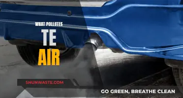 Air Pollutants: Sources and Impacts