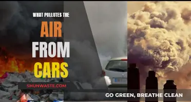 Cars: Air Polluters and Their Harmful Emissions