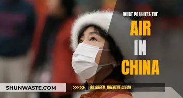 Air Pollution in China: The Complex Causes and Effects