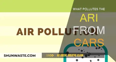 Cars: The Air Polluters and Their Harmful Emissions