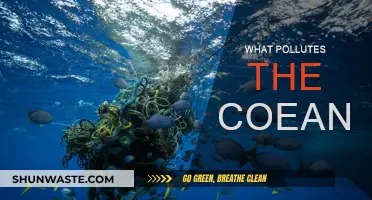 Ocean Pollution: Understanding the Human Impact